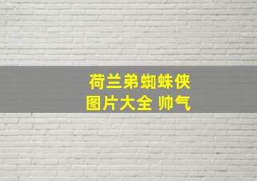 荷兰弟蜘蛛侠图片大全 帅气